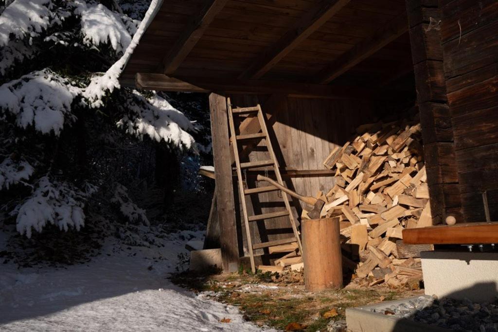 Gregor'S Ferienhaus Im Wald Edelschrott 외부 사진