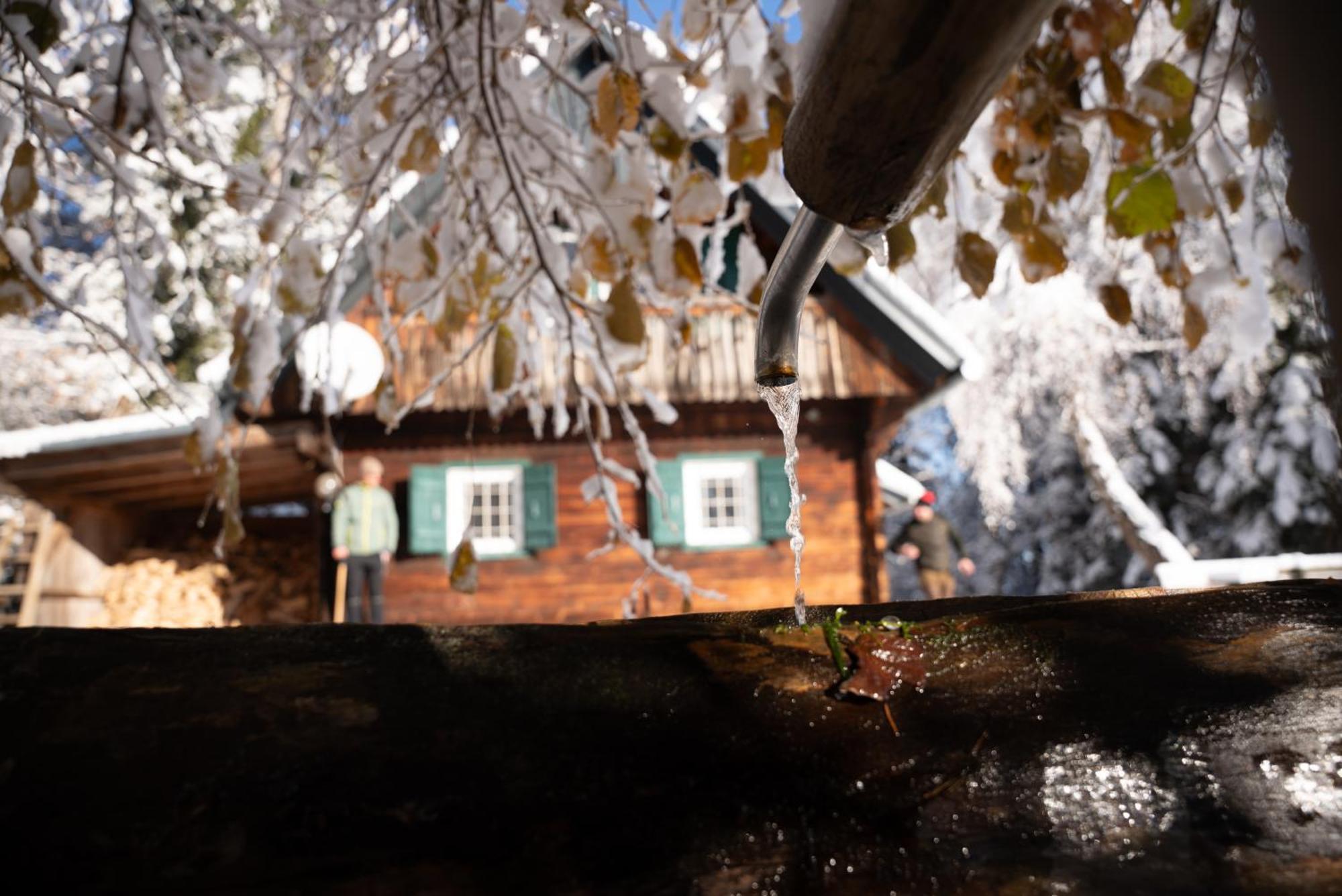 Gregor'S Ferienhaus Im Wald Edelschrott 외부 사진