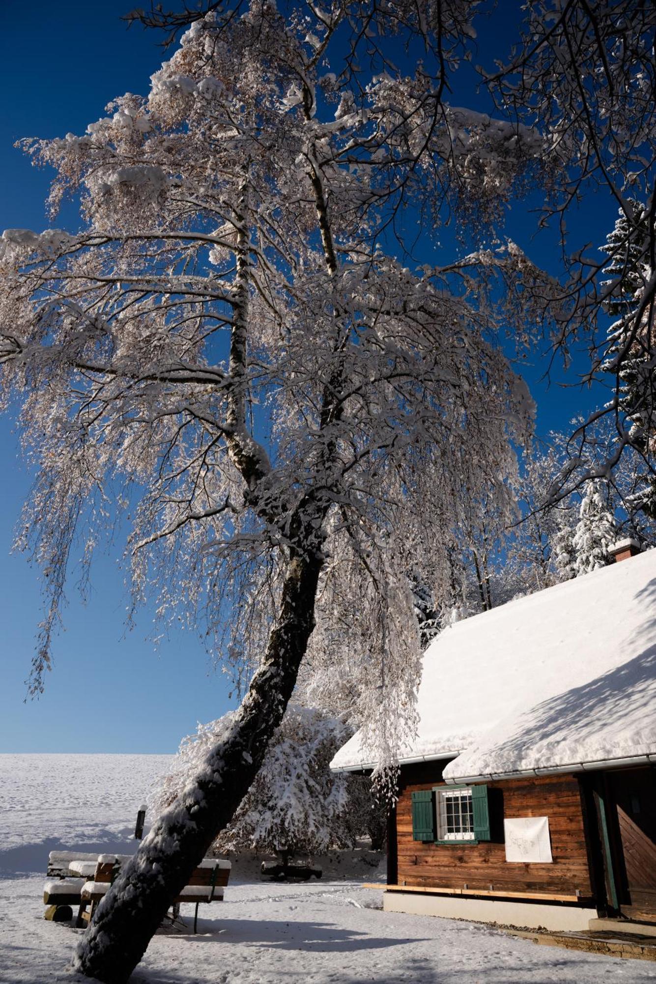 Gregor'S Ferienhaus Im Wald Edelschrott 외부 사진